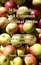 ŷKoboŻҽҥȥ㤨Wholefoods And Common Medicinal Herbs A naturopathic guide to sustainable health and lifestyleŻҽҡ[ Mark Tsaloumas ]פβǤʤ182ߤˤʤޤ
