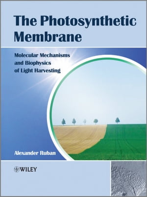 The Photosynthetic Membrane