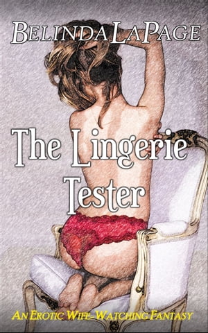 The Lingerie Tester: An Erotic