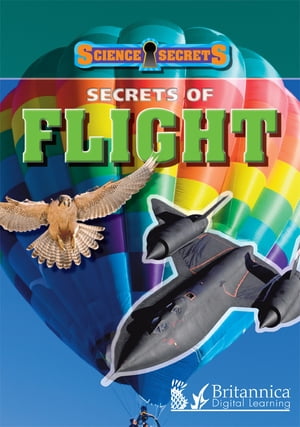 Secrets of Flight