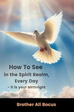 How To See in the Spirit Realm, Every DayŻҽҡ[ Brother Ali Bocus ]