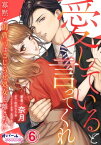 愛していると言ってくれ　寡黙な御曹司はこじらせ処女を離さない6【電子書籍】[ 奈月 ]