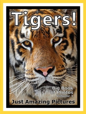 Just Tiger Photos! Big Book of Photographs & Pictures of Tigers, Vol. 1