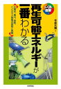 再生可能エネルギーが一番わかる【電子書籍】 今泉大輔