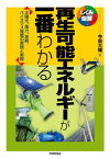 再生可能エネルギーが一番わかる【電子書籍】[ 今泉大輔 ]