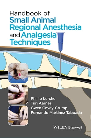 ŷKoboŻҽҥȥ㤨Handbook of Small Animal Regional Anesthesia and Analgesia TechniquesŻҽҡ[ Phillip Lerche ]פβǤʤ8,420ߤˤʤޤ