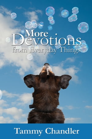 More Devotions from Everyday Things