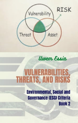 VULNERABILITIES, THREATS AND RISKS