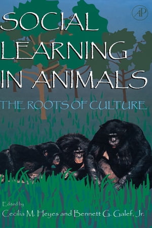 Social Learning In Animals