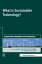 What is Sustainable Technology? Perceptions, Paradoxes and PossibilitiesŻҽҡ[ Karel Mulder ]