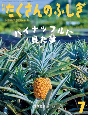 パイナップルに見た夢（たくさんのふしぎ2025年7月号）【電子書籍】[ 西野嘉憲 ]のサムネイル