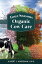 Four-Seasons Organic Cow Care