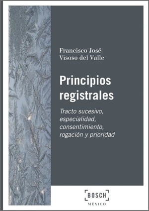 Principios registrales Tracto sucesivo, especialidad, consentimiento, rogaci?n y prioridad