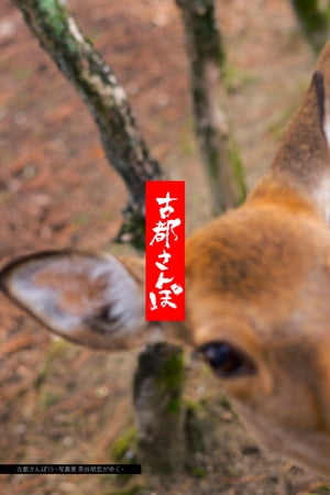 古都さんぽ19 〜写真家 茶谷明宏がゆく〜