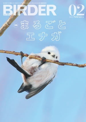 BIRDER2022年2月号