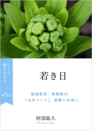 命ささらぐ第５部　若き日