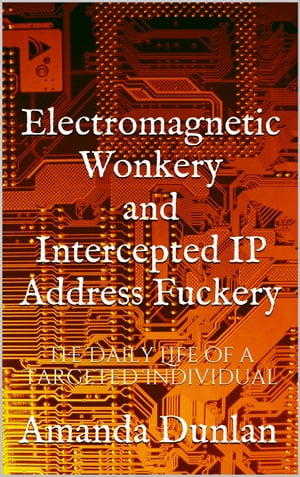 Electromagnetic Wonkery and Intercepted IP Address Fuckery