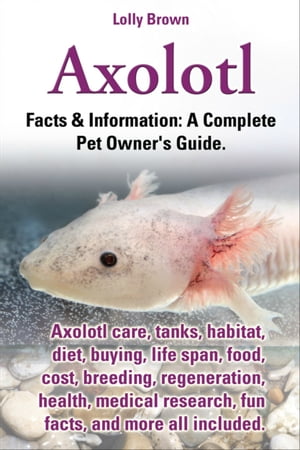 Axolotl