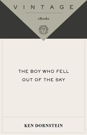 The Boy Who Fell Out of the Sky