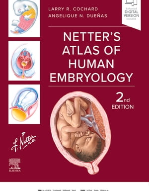 Netter's Atlas of Human Embryology - E-BOOK