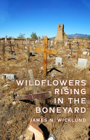 Wildflowers Rising in the Boneyard