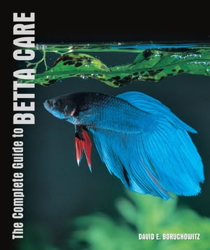 The Complete Guide to Betta Care