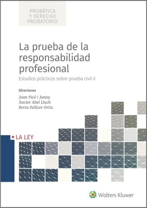 La prueba de la responsabilidad profesional