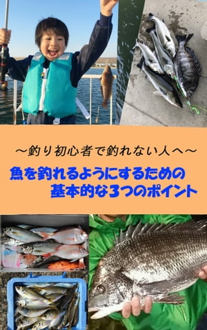 魚を釣れるようにするための 基本的な3つのポイント やみくもにやっても釣れない、～釣り初心者で釣れない人へ～