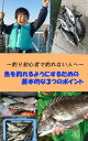 魚を釣れるようにするための 基本的な3つのポイント やみくもにやっても釣れない、～釣り初心者で釣れない人へ～【電子書籍】[ 釣り楽しいウキマニア ]