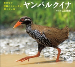 ヤンバルクイナ　～世界中で沖縄にしかいない飛べない鳥～（小学館の図鑑NEOの科学絵本）【電子書籍】[..