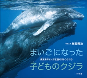まいごになった子どものクジラ　～南太平洋トンガ王国のザトウクジラ～（小学館の図鑑NEOの科学絵本）