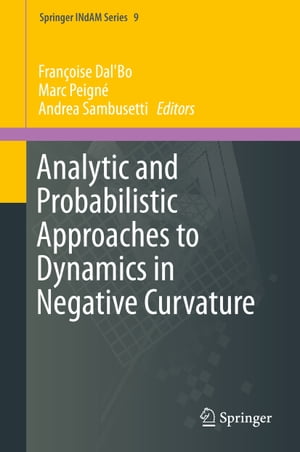 Analytic and Probabilistic Approaches to Dynamics in Negative Curvature【電子書籍】