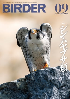 BIRDER2023年9月号【電子書籍】 BIRDER編集部