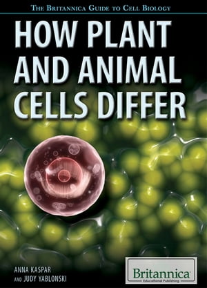 How Plant and Animal Cells Differ