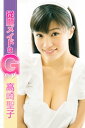 従順メイドはGカップ 高崎聖子【電子書籍】[ 高崎聖子 ]