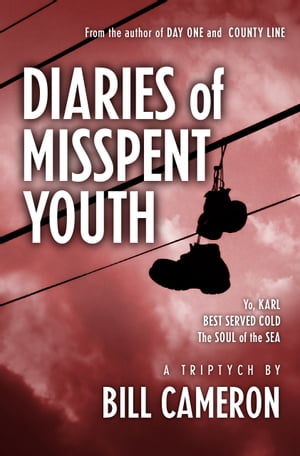 Diaries of Misspent Youth【電子書籍】[ Bil