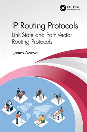 IP Routing Protocols