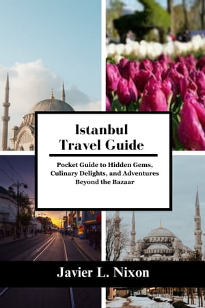 Istanbul Travel Guide