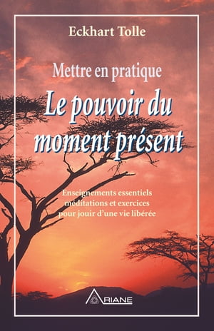 Mettre en pratique Le pouvoir du moment pr?sent Enseignements essentiels, m?ditations et exercices pour jouir d'une vie lib?r?eŻҽҡ[ Eckhart Tolle ]