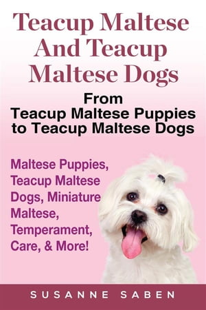 Teacup Maltese and Teacup Maltese Dogs