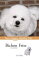 Bichon Frise