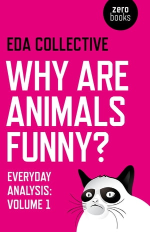 Why are Animals Funny?