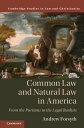 Common Law and Natural Law in America From the Puritans to the Legal Realists