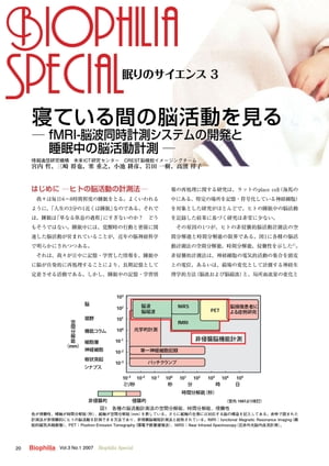 寝ている間の脳活動を見る ー fMRI-脳波同時計測システムの開発と睡眠中の脳活動計測 ー