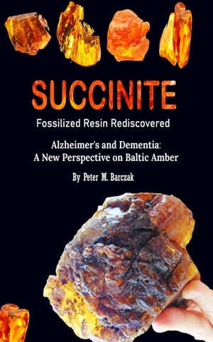 SUCCINITE FOSSILIZED RESIN REDISCOVERED