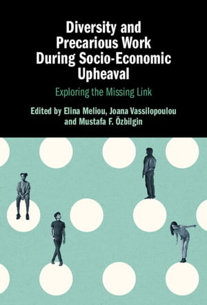 Diversity and Precarious Work During Socio-Economic Upheaval Exploring the Missing Link