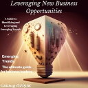 Leveraging New Business Opportunities: A Guide to Identifying and Capitalizing o...