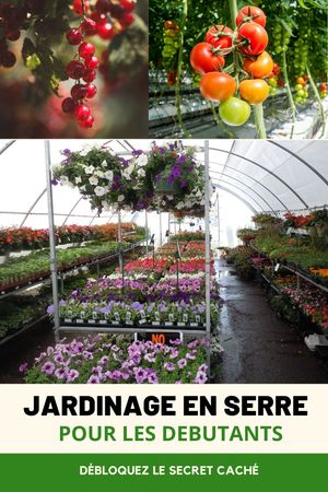 Jardinage en Serre pour les Debutants