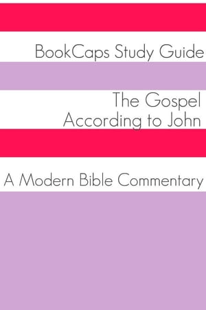 The Gospel of John: A Modern Bible Commentary