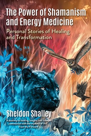 ŷKoboŻҽҥȥ㤨The Power of Shamanism and Energy Medicine Personal Stories of Healing and TransformationŻҽҡ[ Sheldon Shalley ]פβǤʤ487ߤˤʤޤ